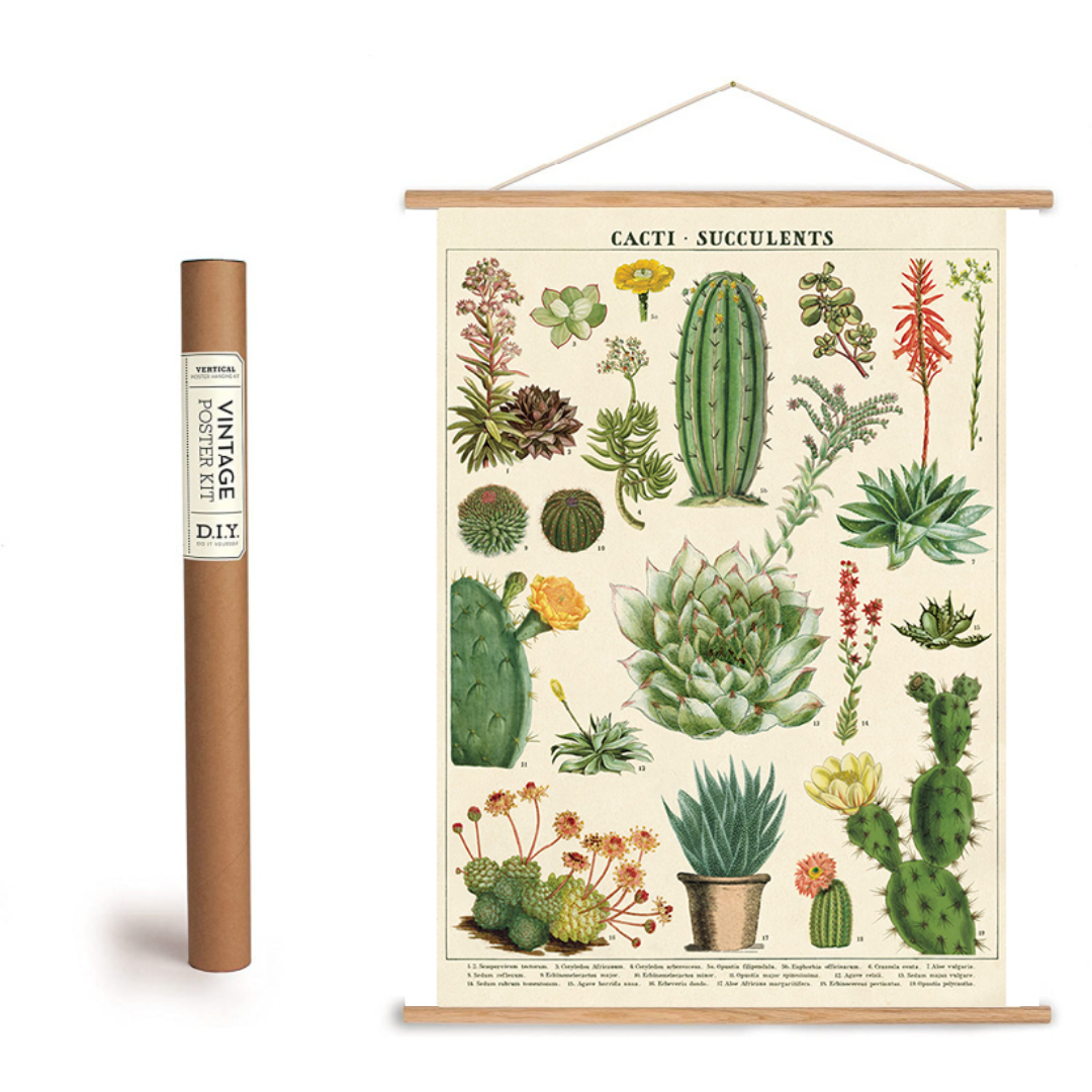 cacti succulents poster Cacti & Succulents Poster