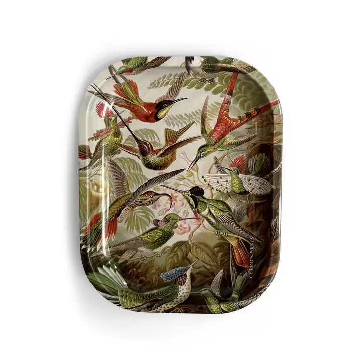 Vintage Haeckel Hummingbirds Ritual Tray