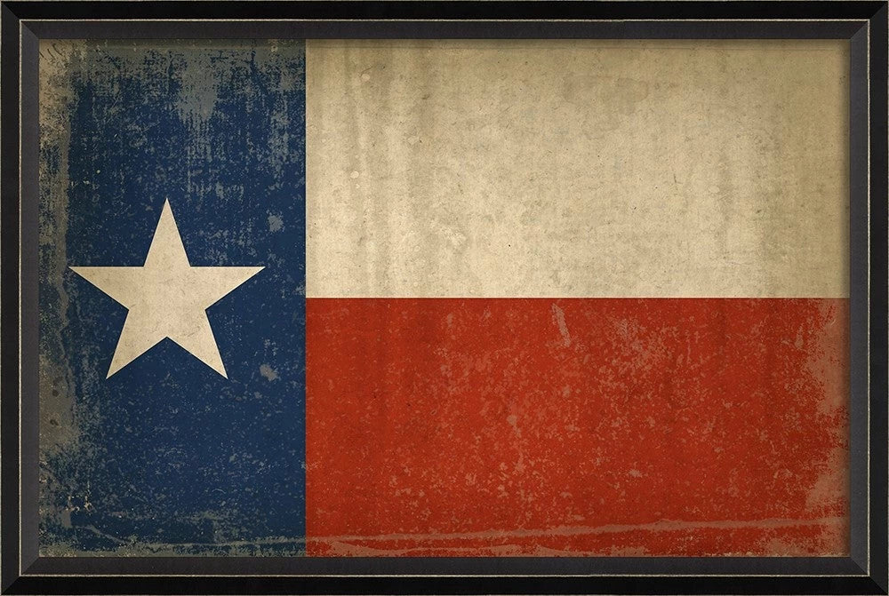 Texas State Flag Framed