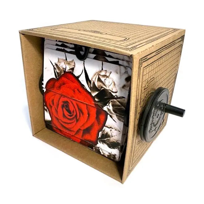 Fliposcope - Blooming Rose DIY Flipbook Machine Keepsake