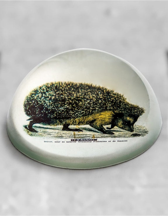 Hedgehog Paperweight