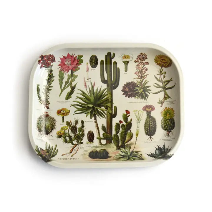 Cactus Ritual Tray
