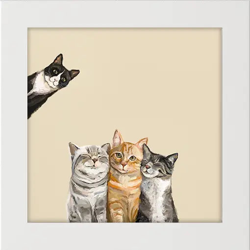 Three Cats Plus One Happy Square
