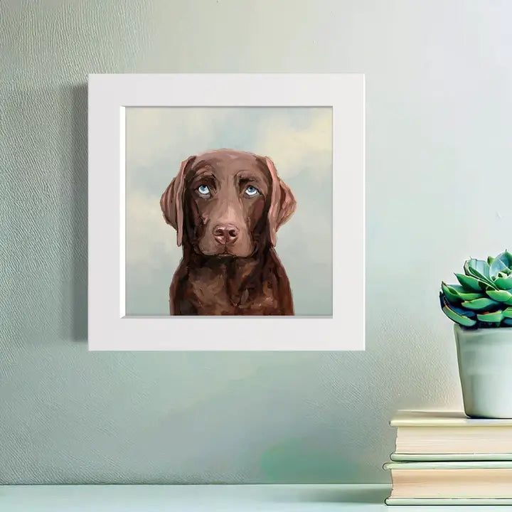 Looking Up Chocolate Lab Happy Square