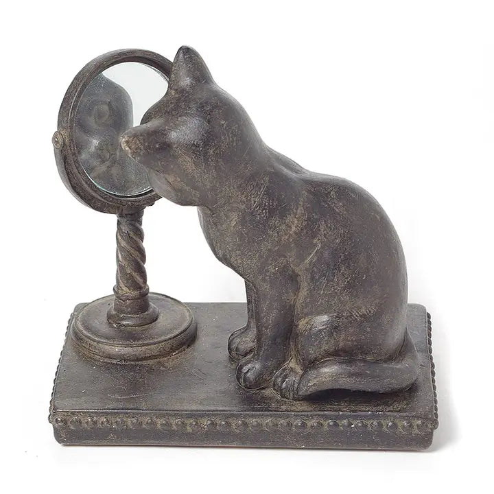 Cat Gazing in Mirror