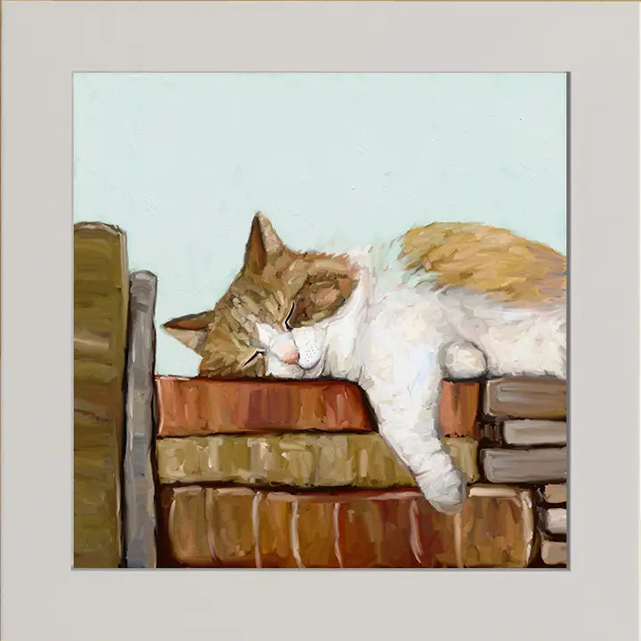 Cat On Books 3 Happy Square