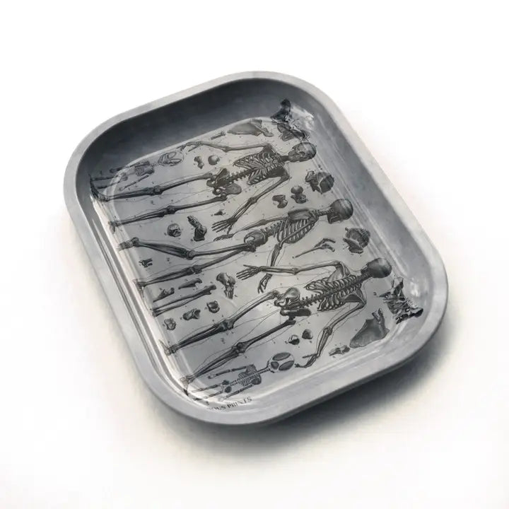 Skeleton Diagram Ritual Tray