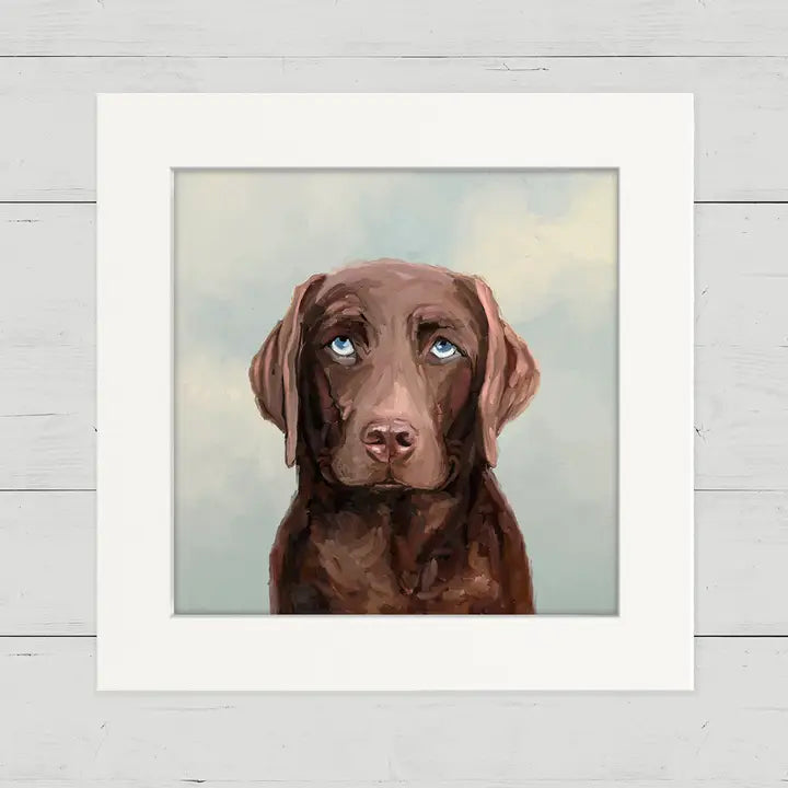 Looking Up Chocolate Lab Happy Square