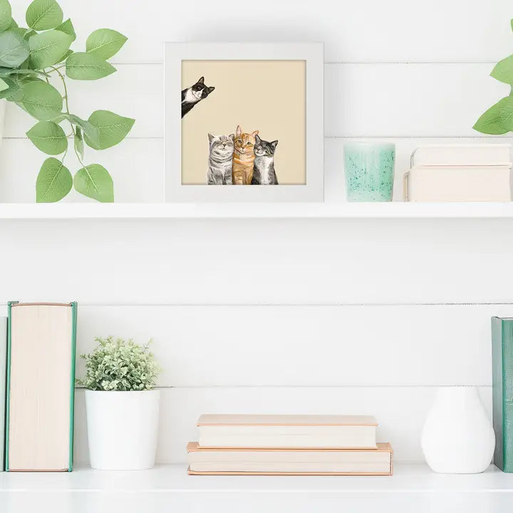 Three Cats Plus One Happy Square