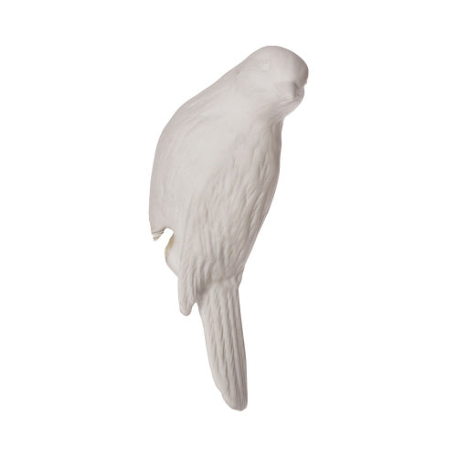 Porcelain Canary