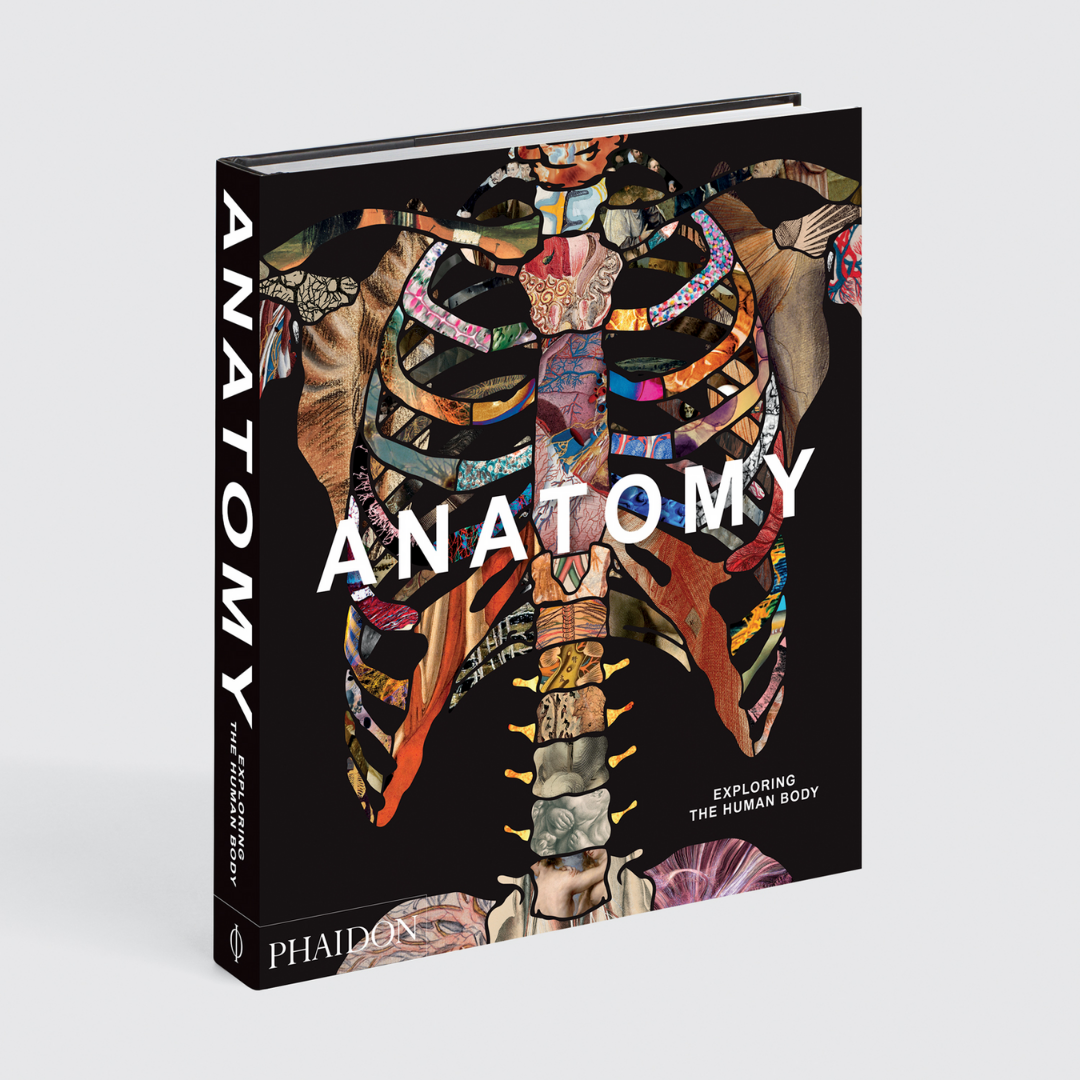 "Anatomy: Explore The Body" by Phaidon Editors